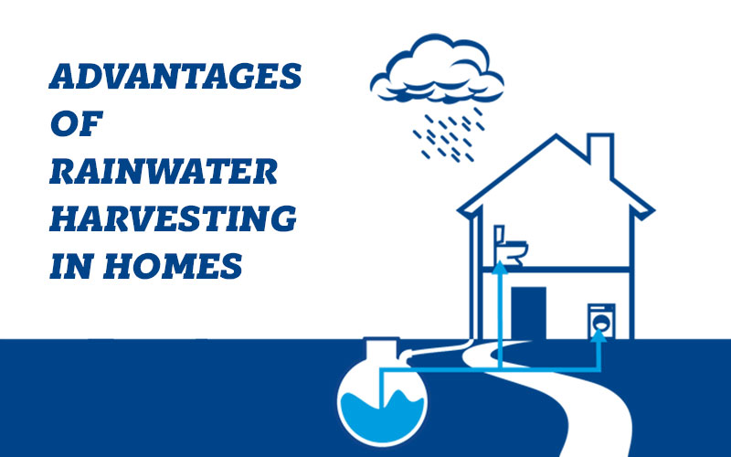 Advantages of rainwater harvesting in homes