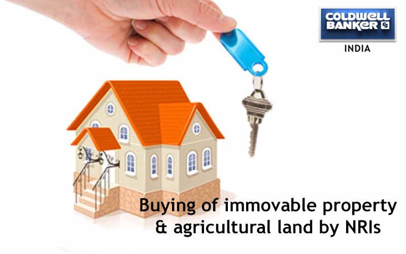 Buying of immovable property and agricultural land by NRIs