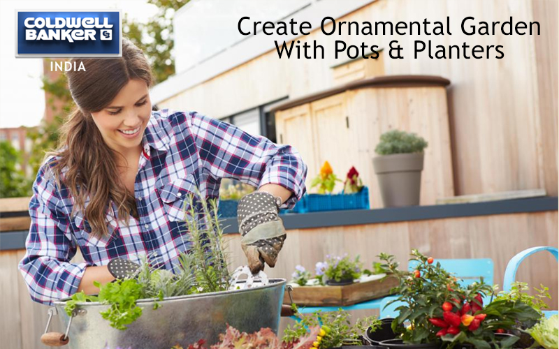Create an Ornamental garden with pots and planters