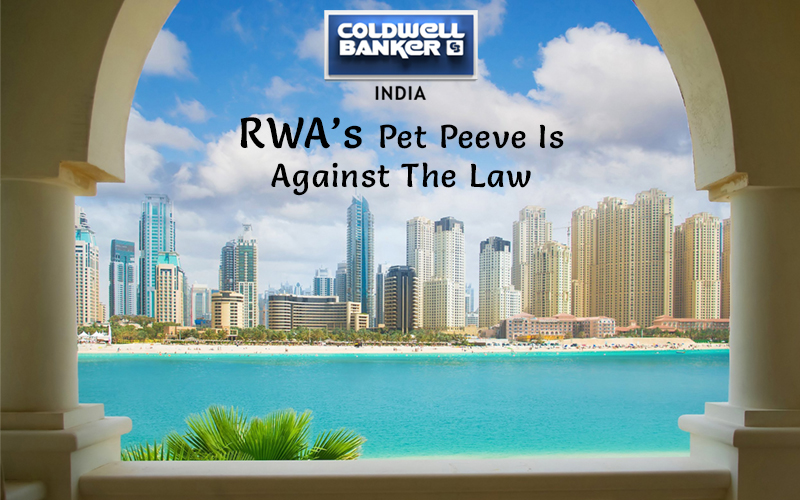 RWA’s pet peeve is against the law
